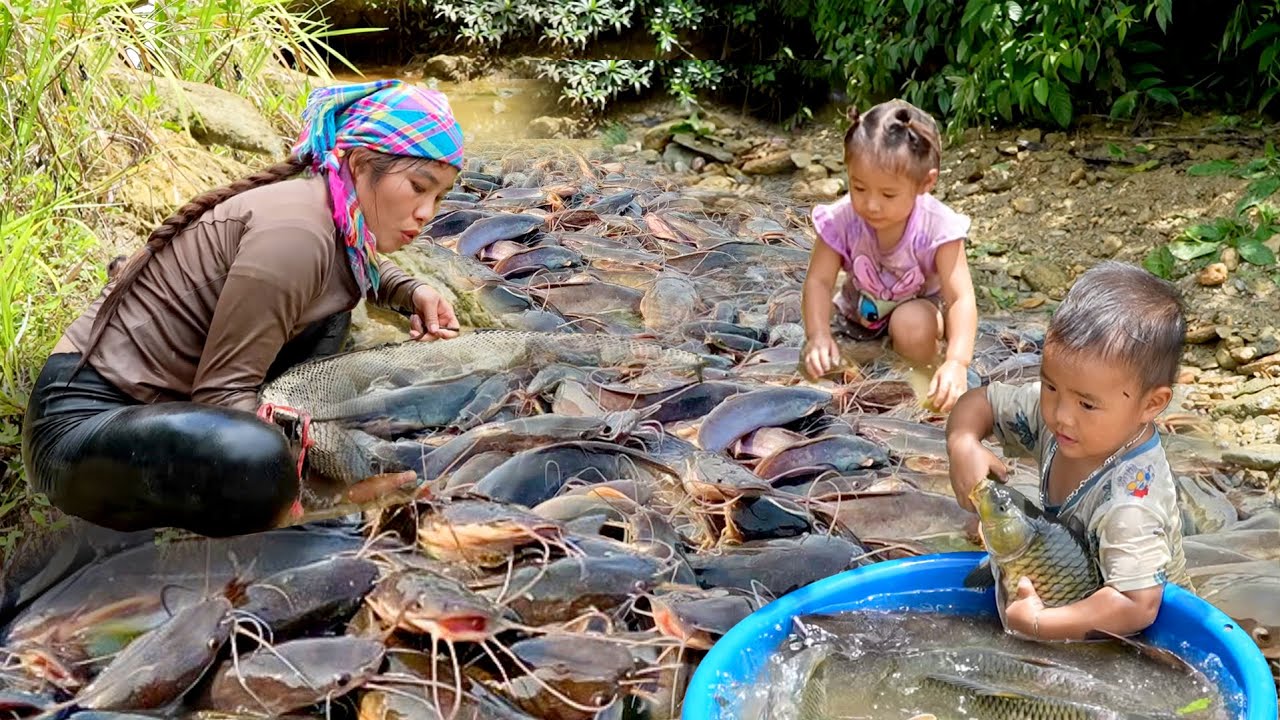 Unbelievable Mud Fishing! Catching Giant Fish with My Kids on a Rainy Day