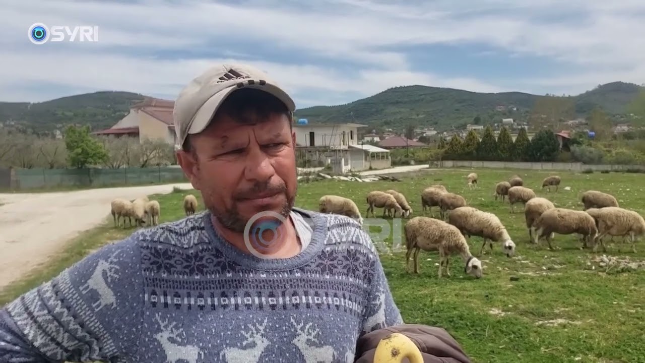 I ngordhi tufa e bag&euml;tive nga energjia elektrike, Blegtori nga Ku&ccedil;ova nuk merr d&euml;shp&euml;rblimin