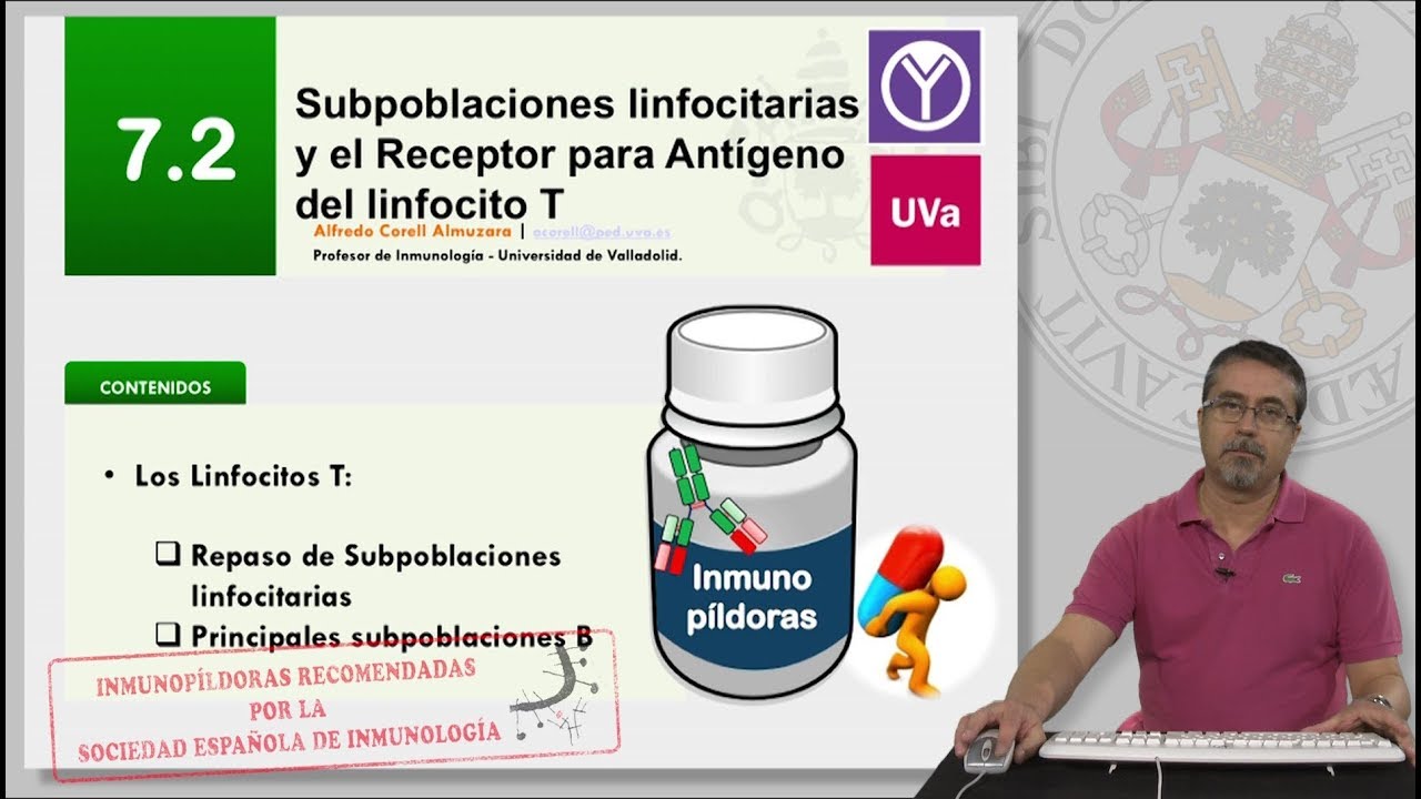 7.2 SUBPOBLACIONES LINFOCITARIAS Y EL RECEPTOR PARA ANTÍGENO DEL LINFOCITO T