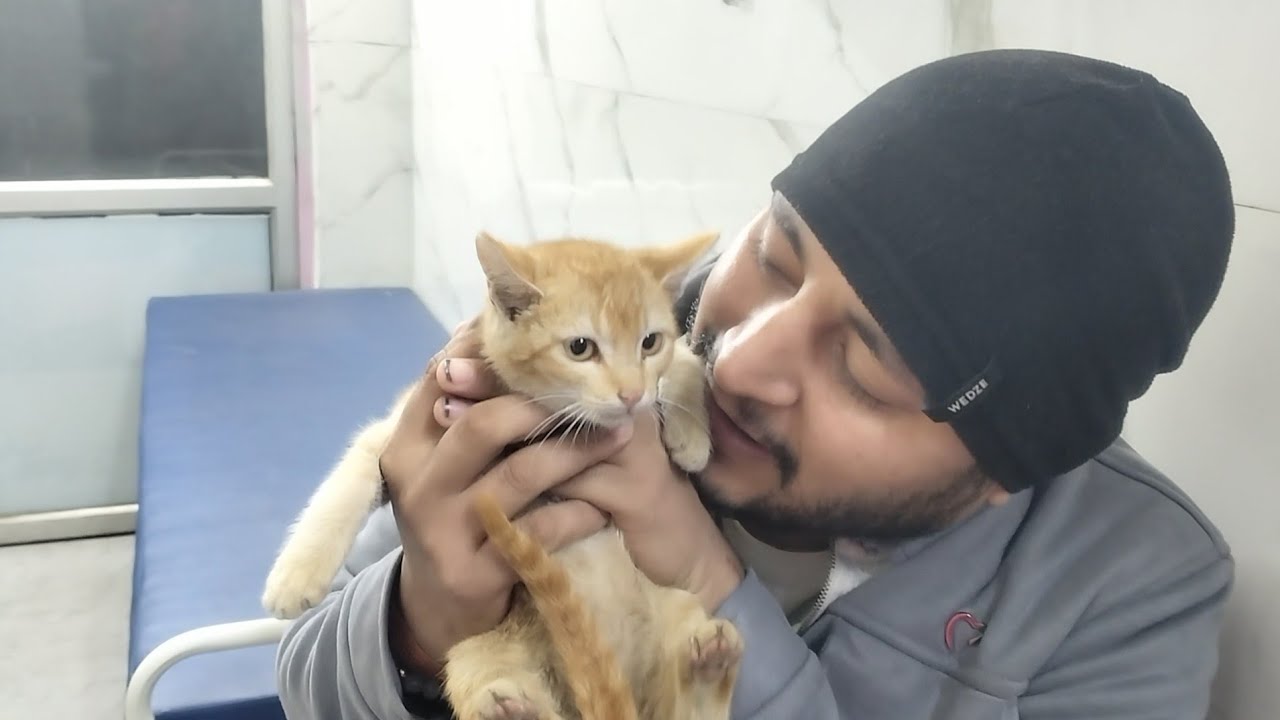 Sweety the kitten!MCD is doing some work 🙏rajan mishra