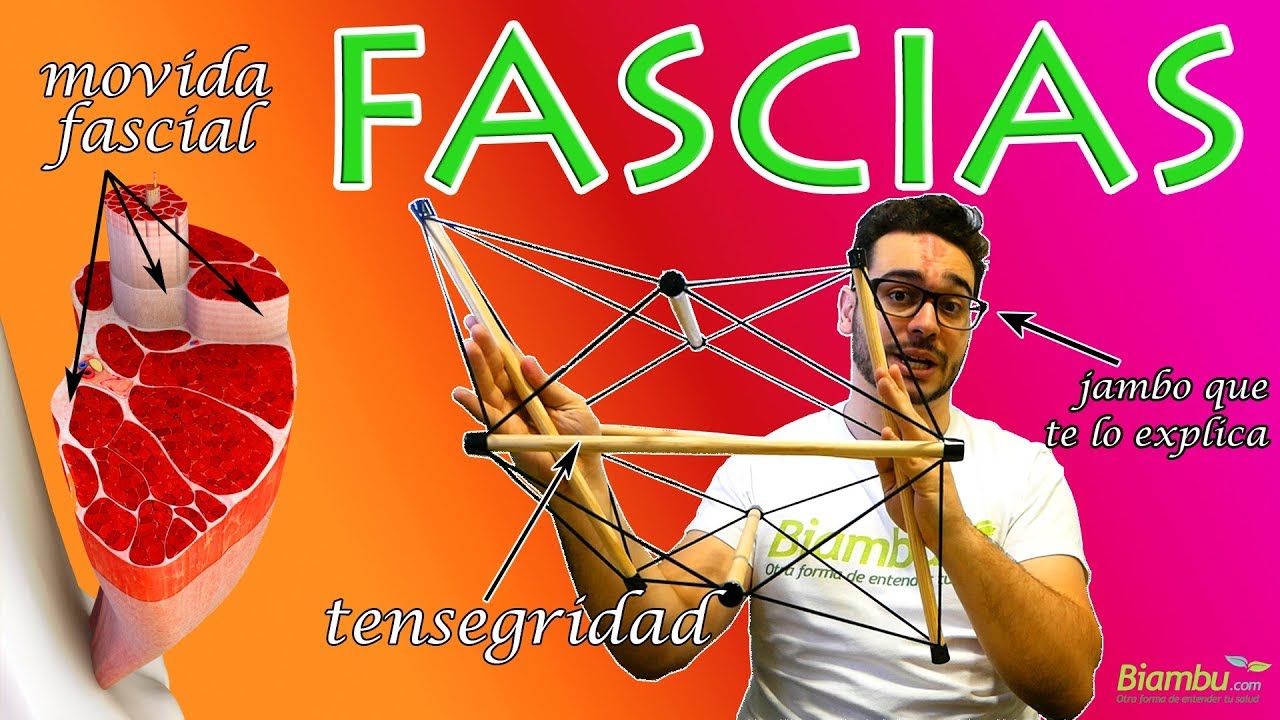 La tensegridad explica por qu&eacute; la FASCIA es la estructura m&aacute;s sorprendente del cuerpo | Biambu