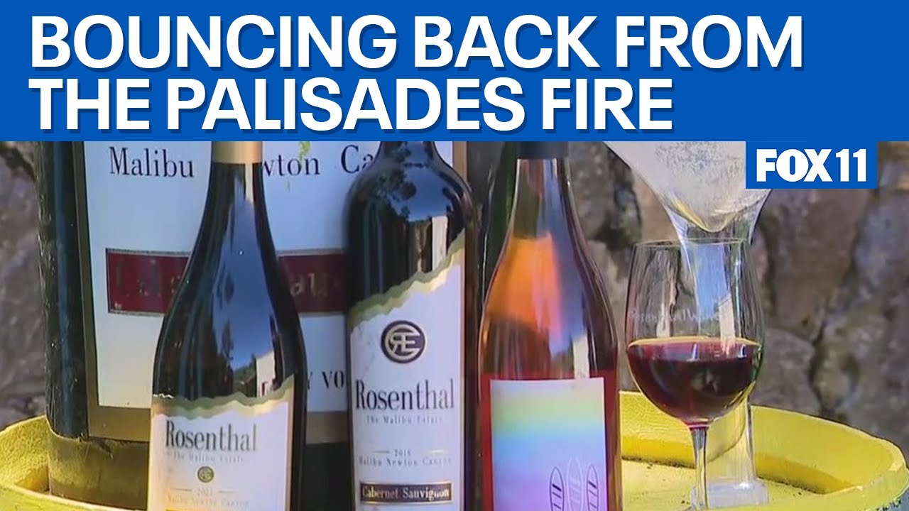 'The Vineyard Experience' at Rosenthal Estate Wines  | FOX 11 LA