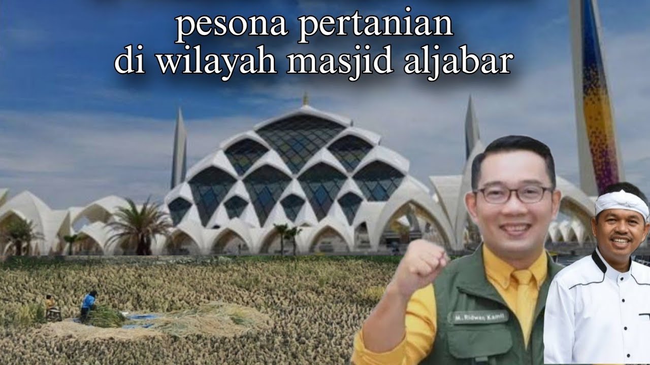 BAGAIKAN DI DESA , PERTANIAN SEKITAR MASJID ALJABAR MEMPESONA