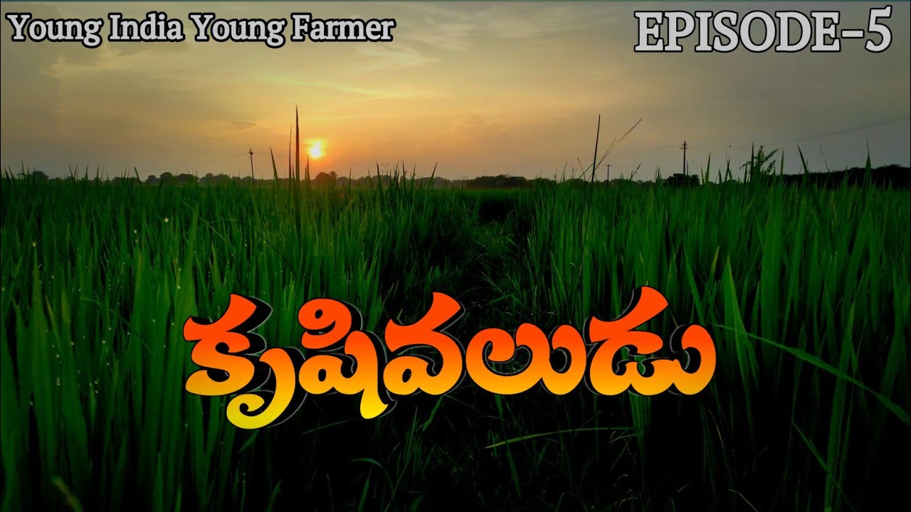 Krushivaludu||EP-5||Young India Young Farmer||Agricultural Webseries||First Village Webseries Telugu