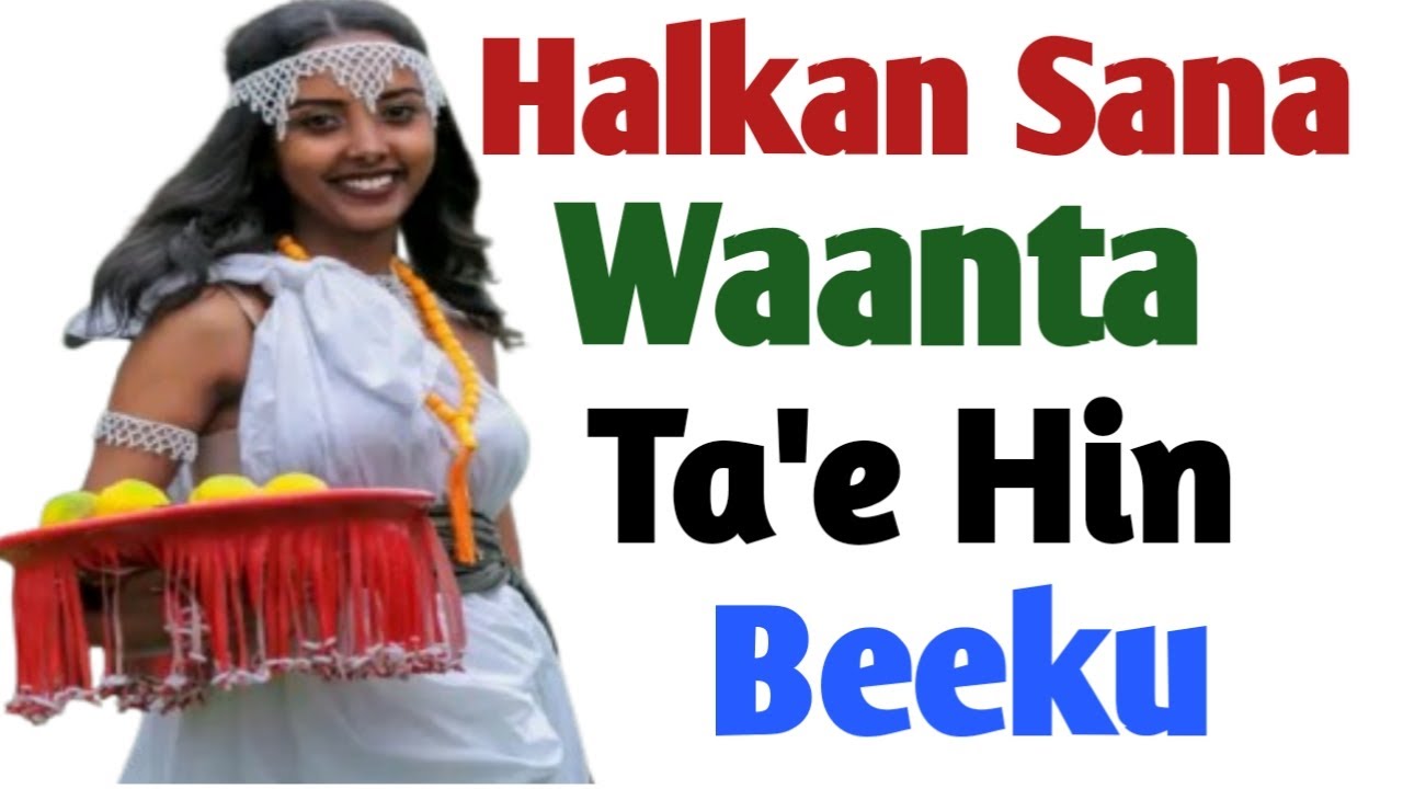 Halkan Sana Waantan Ta'e Hin Beeku