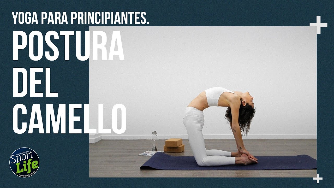 🧘Yoga para principiantes🧘 POSTURA 32: CAMELLO | SPORT LIFE