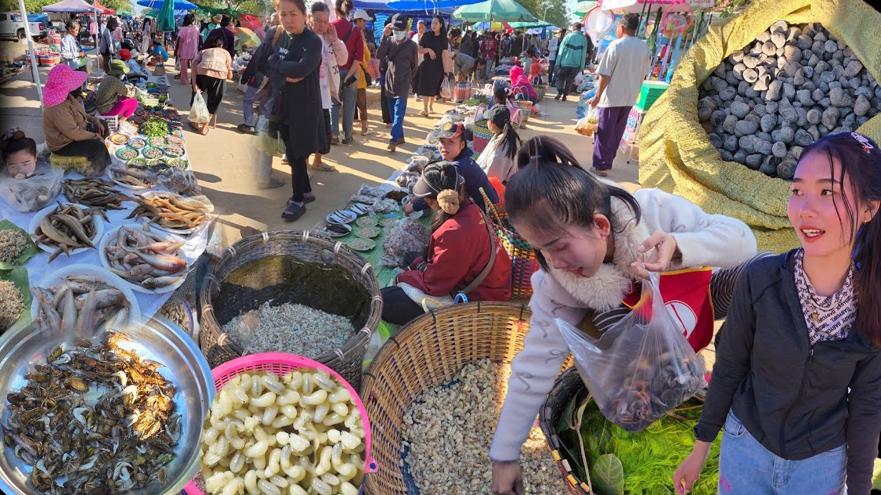 สุดยอด‼️ ไข่มดแดง เต็มตลาด | ตลาดนัดไทยลาวบ้านหนาด จ.นครพนม