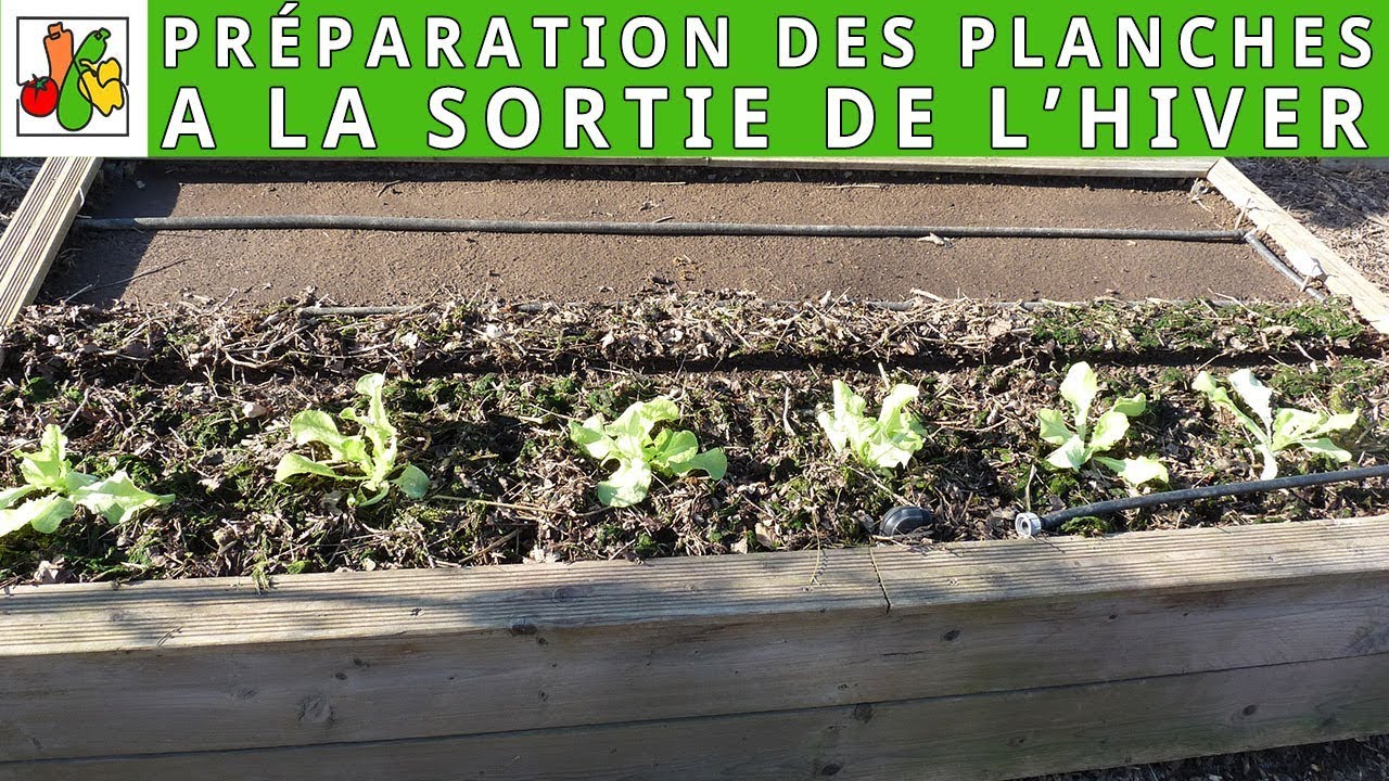 Préparation d'un potager surélevé à la sortie d'hiver
