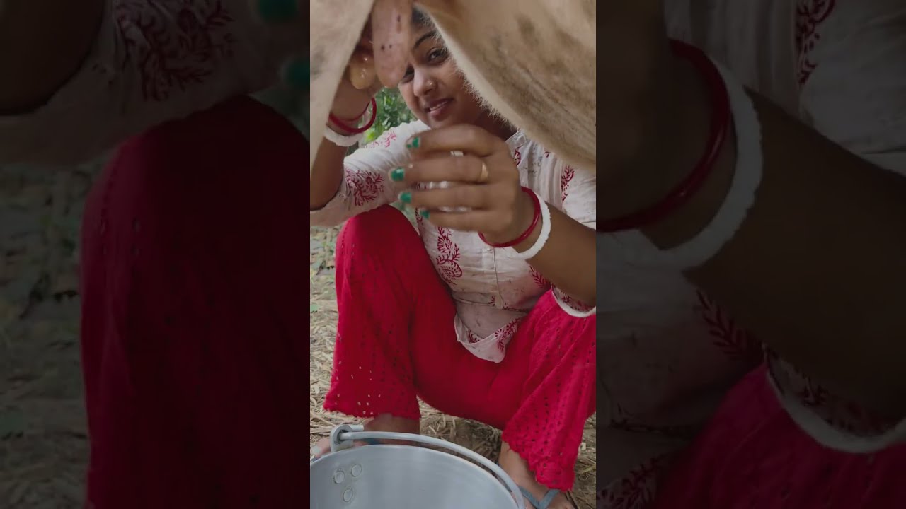 মুন্নি ঠান্ডা ওয়েদার পেয়েও বেশি দুধ দিল না🍼🥴🤭 || মুন্নির বাঁটে ঘা তাই তেল দিলে জ্বালা করছে🍼😢