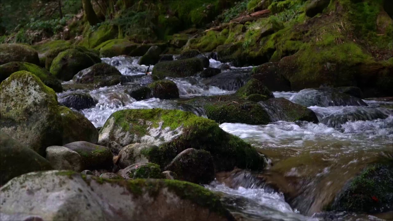 Wasserlandschaft