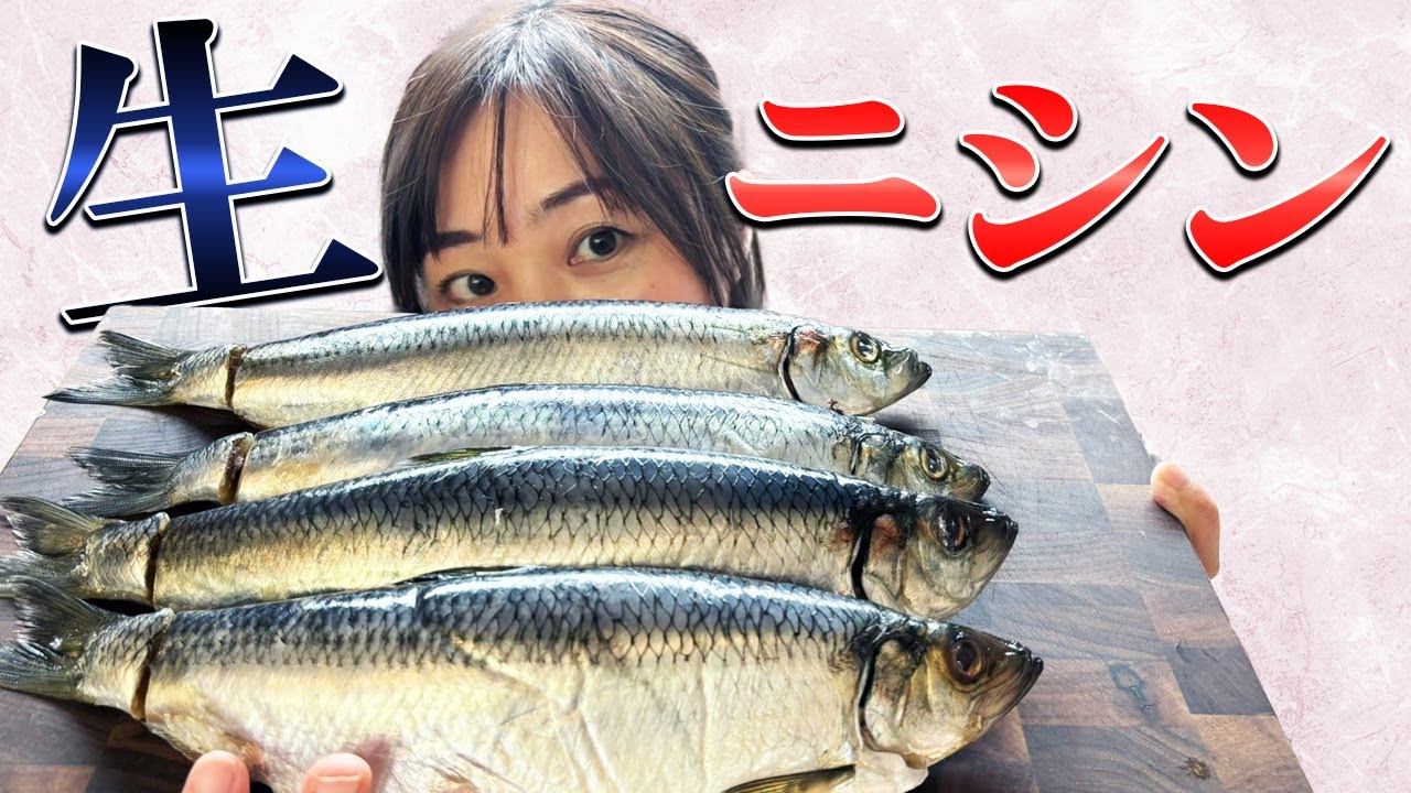 【最強の食材】北海道産生ニシン！最高の調理法をご紹介！
