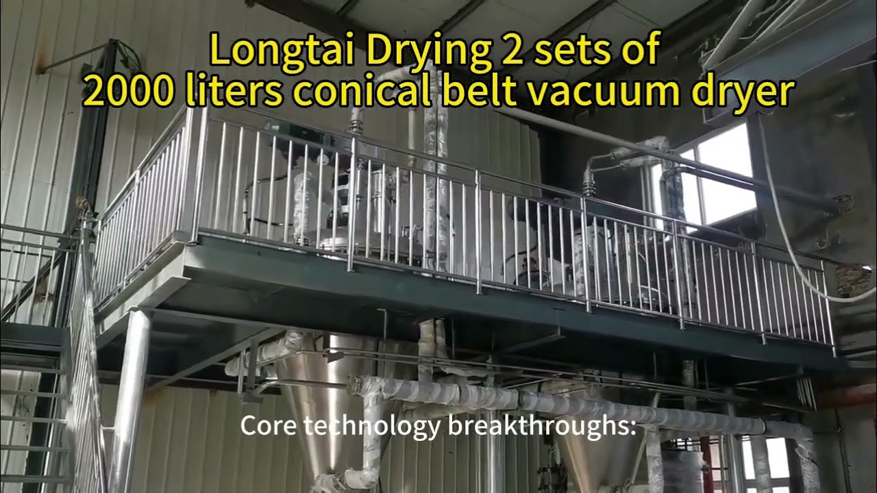 LDG Conical Vacuum Dryer / Nauta Conical Screw Dryer / Conical Ribbon Mixer Dryer (GMP/Pharma )