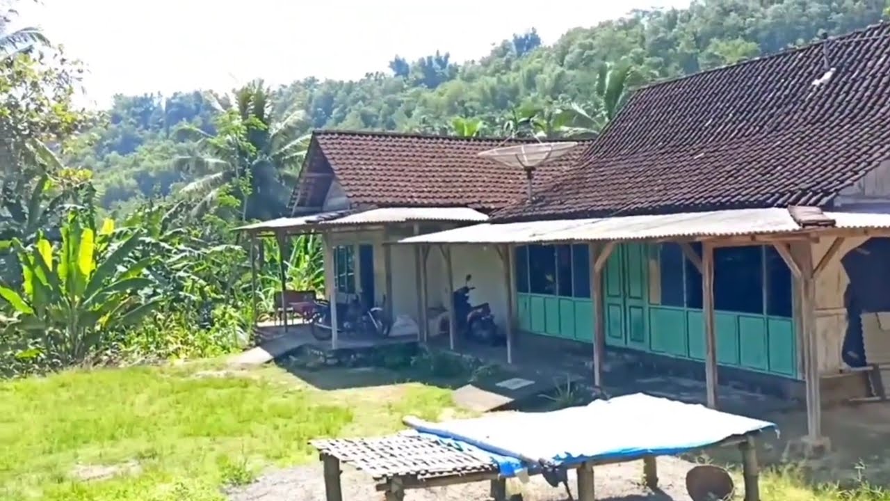 Suasana desa Suki Jawa Blitar Selatan,damai dan tentram,hidup di desa pedalaman 