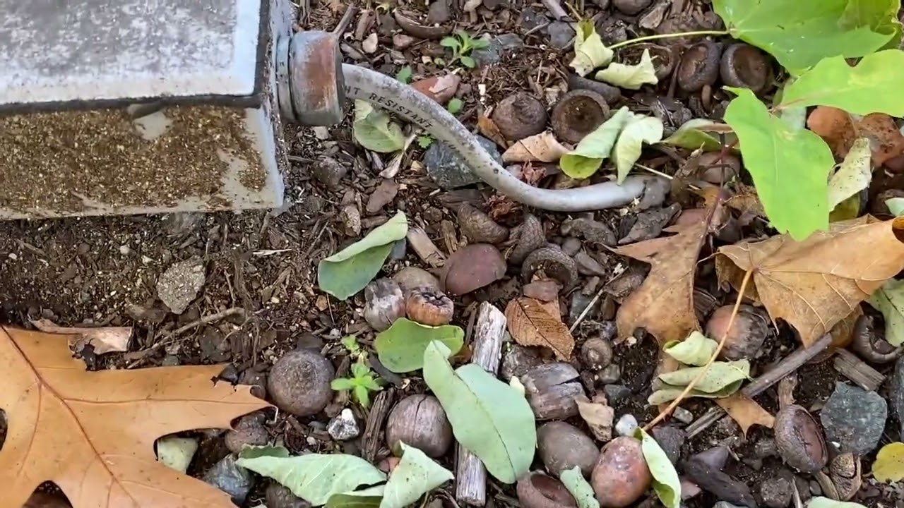 Moving Violations Video No. 354: Exposed