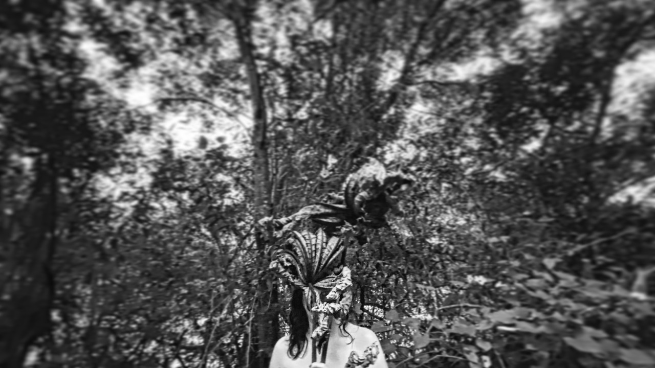 TropiCaipira - Versão 2026 (legenda em português)