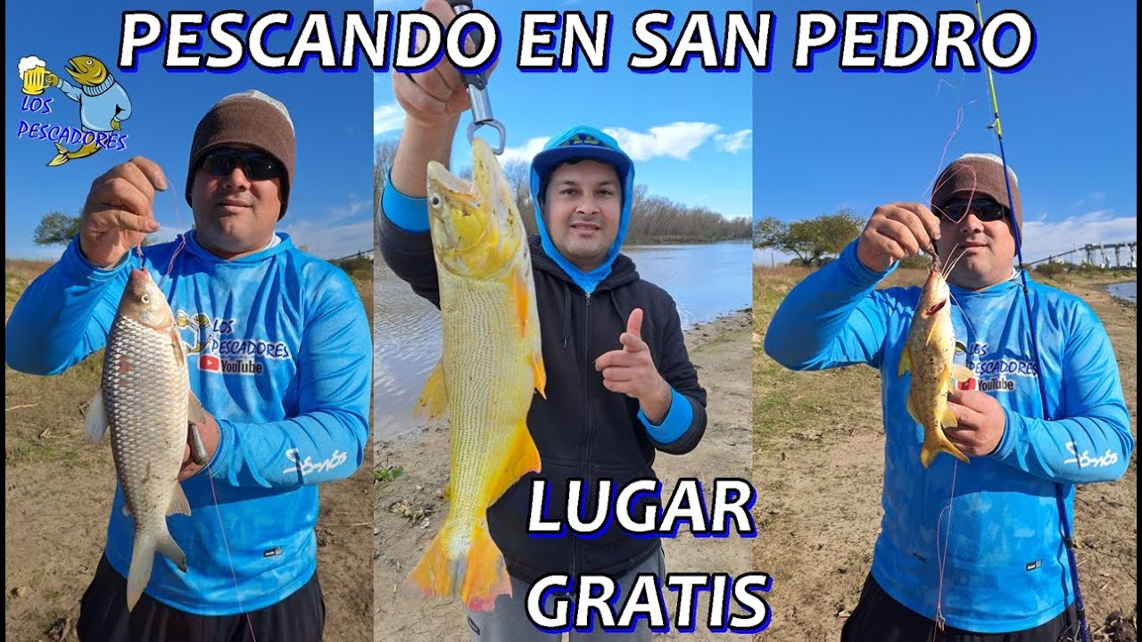 PESCA EN SAN PEDRO- LLENO DE BAGRES- PICO EL DORADO-LUGAR GRATIS #LOSPESCADORES