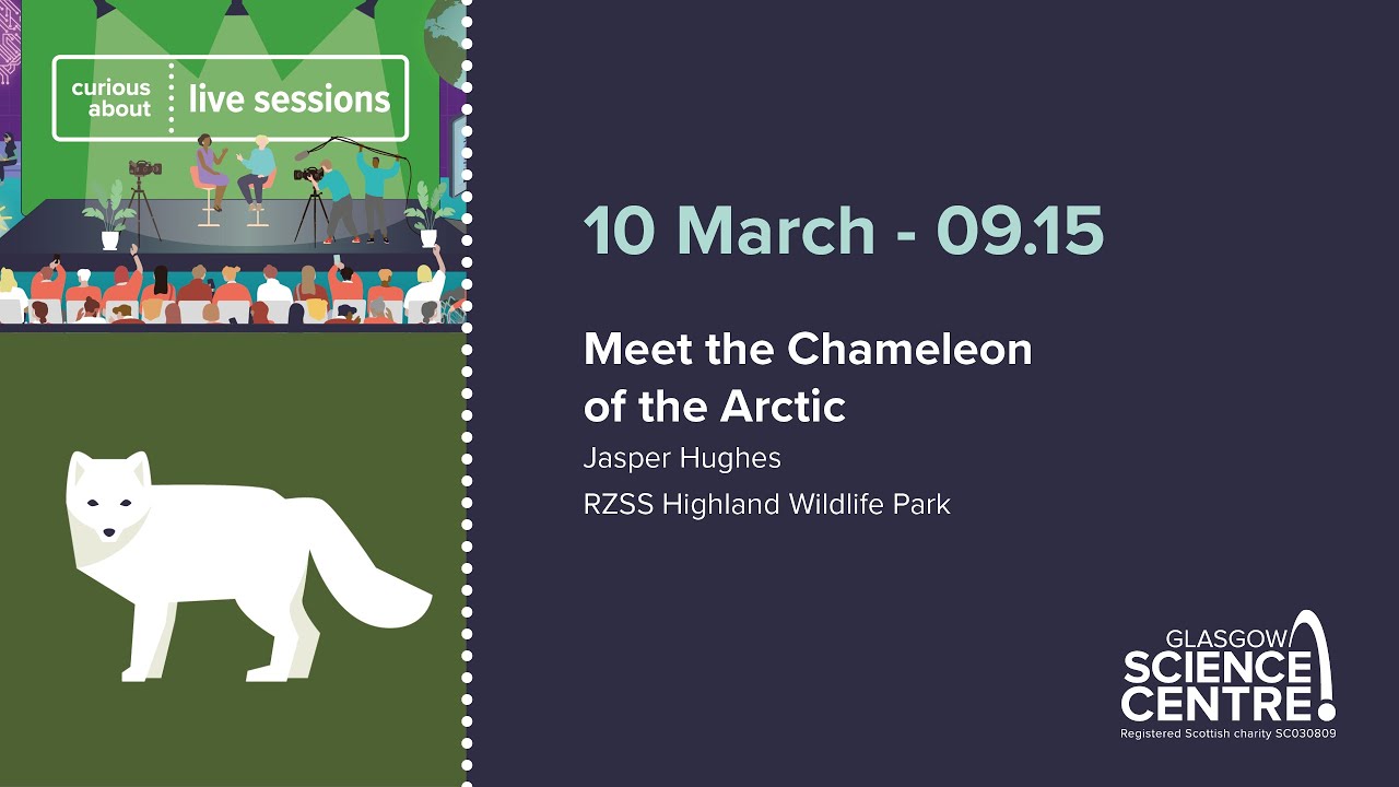 Meet the Chameleon of the Arctic