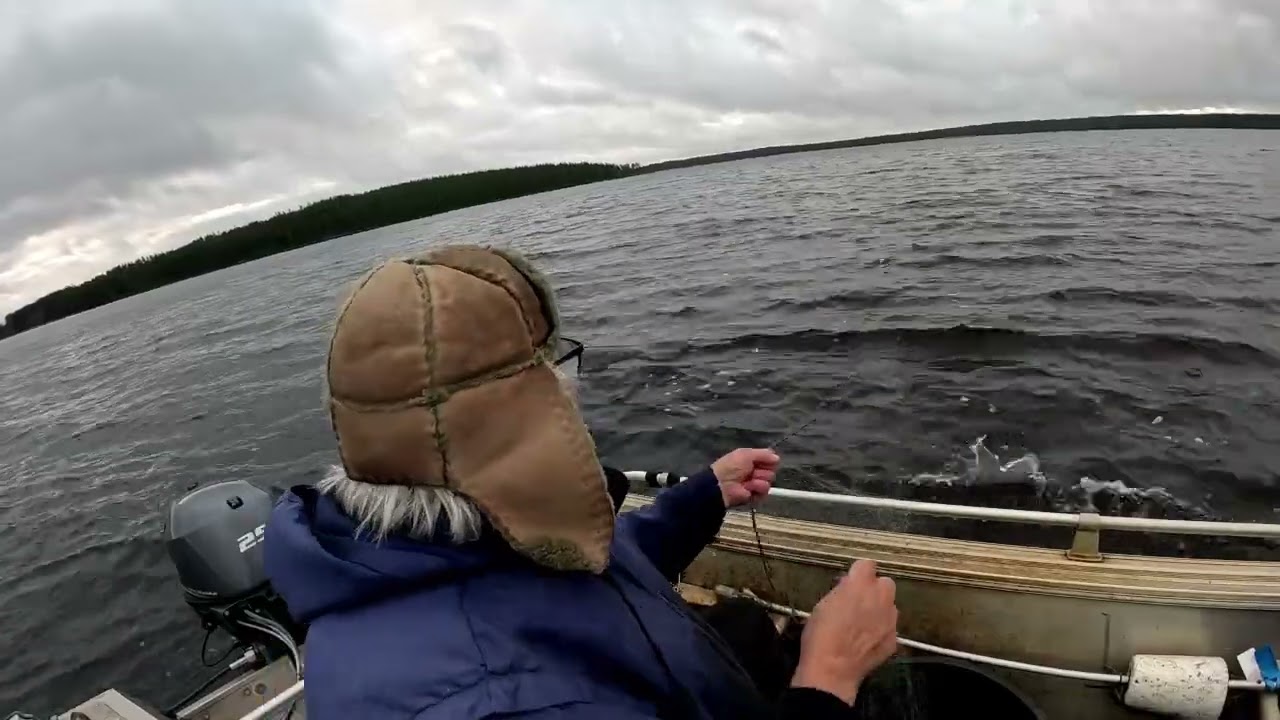 KUTUPAIKKA