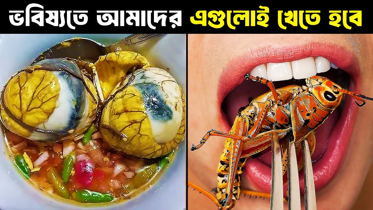 ভবিষ্যতে আমাদের এগুলোই খেতে হবে | The Future of Food