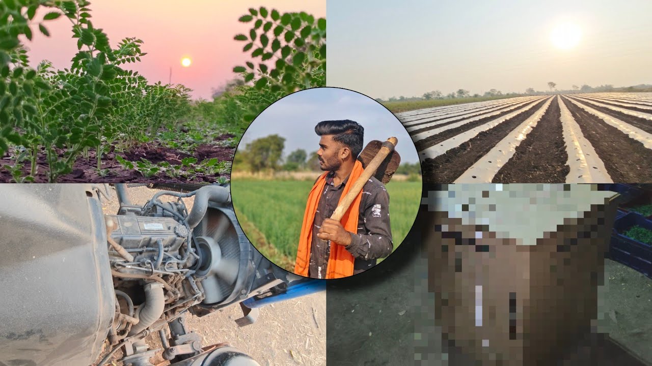 रात्री दोन वाजता बाबा घरी आले...😳 full-vlog @Piyushsawant-vlogs #farmingvlog #marathivlog #pp #ps 