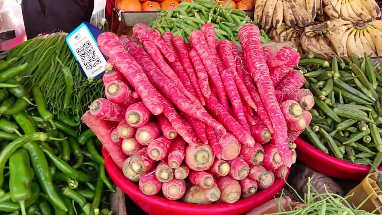Yadav fruit company bidasar. हमारे चैनल को सब्सक्राइब जरूर करें।