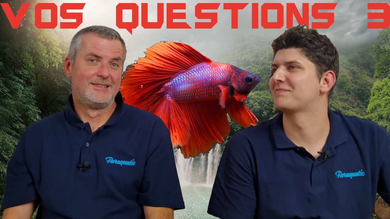 Nos astuces et expériences pro (pour faire des économies 🤑)- Floraquatic