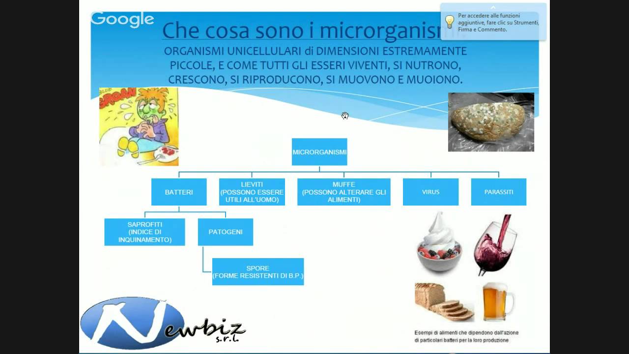 Corso Haccp 1 Livello