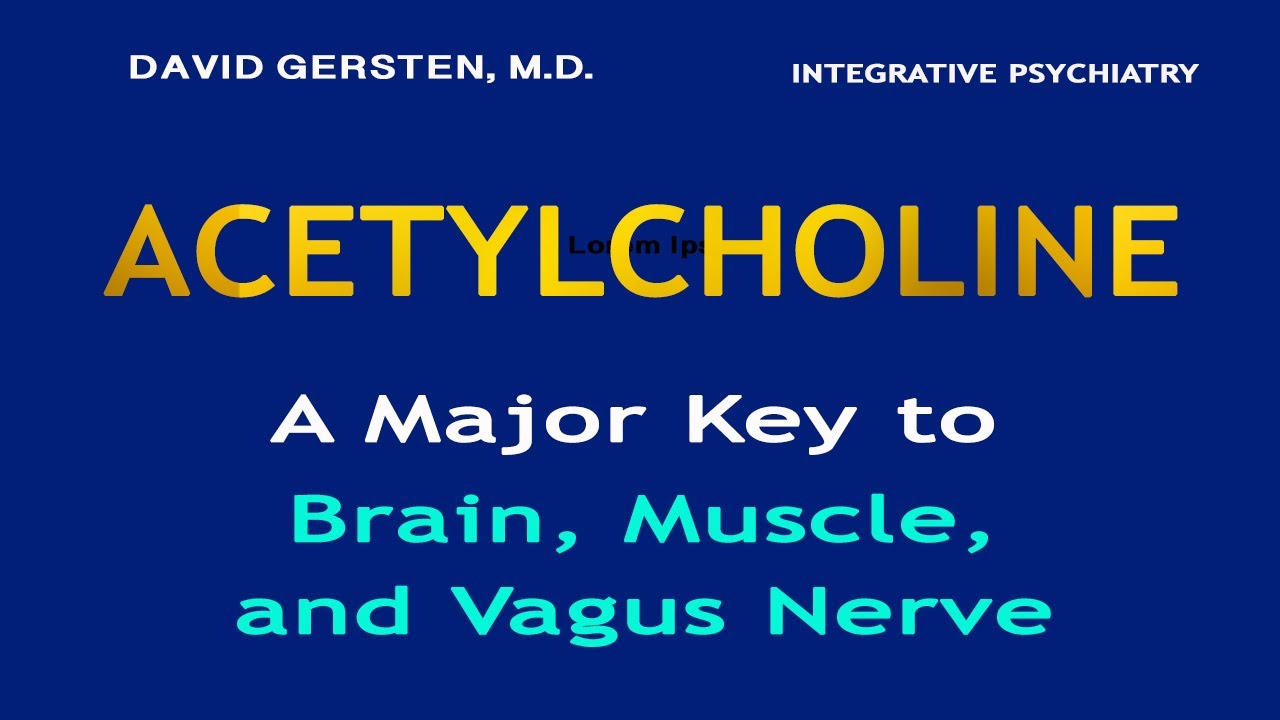 ACETYLCHOLINE: A Major Key to Brain, Muscle, and Vagus Nerve