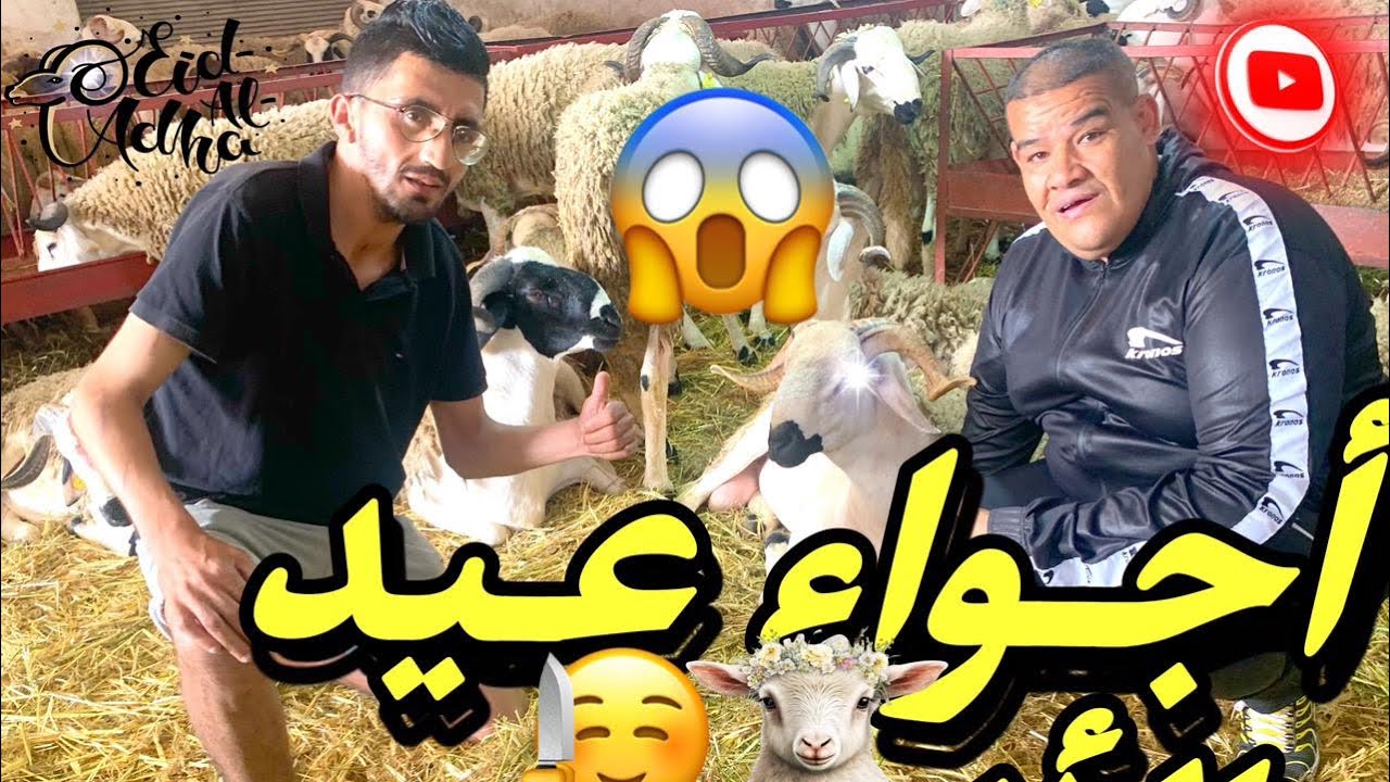 بيسيلا و خروف العيد - هاد عيد ماشي بحال اعياد .. ها المعقول