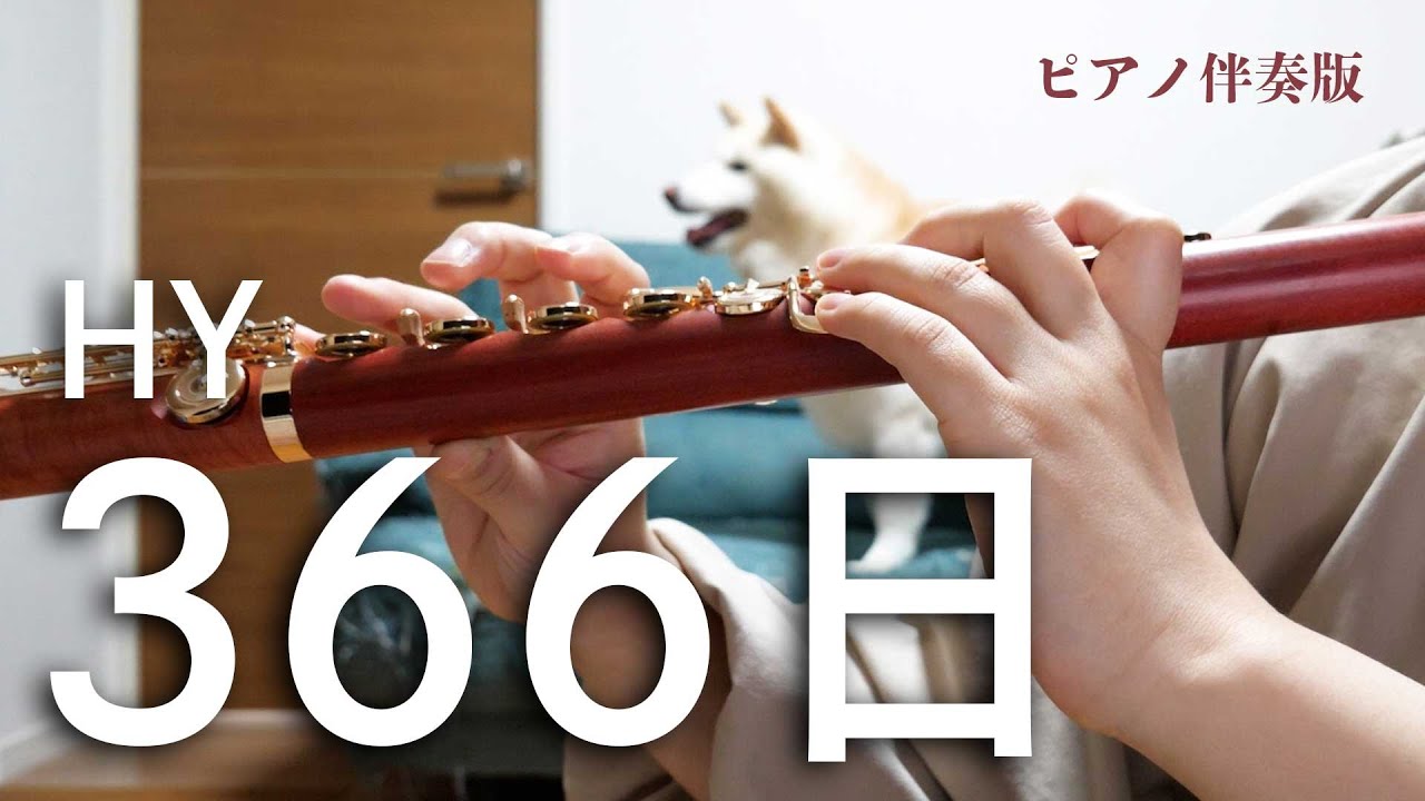 【#フルート】366日/HY ピアノ伴奏ver【演奏してみた】#flute