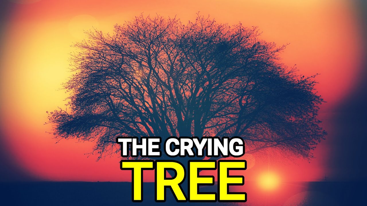 The crying Tree | True Story