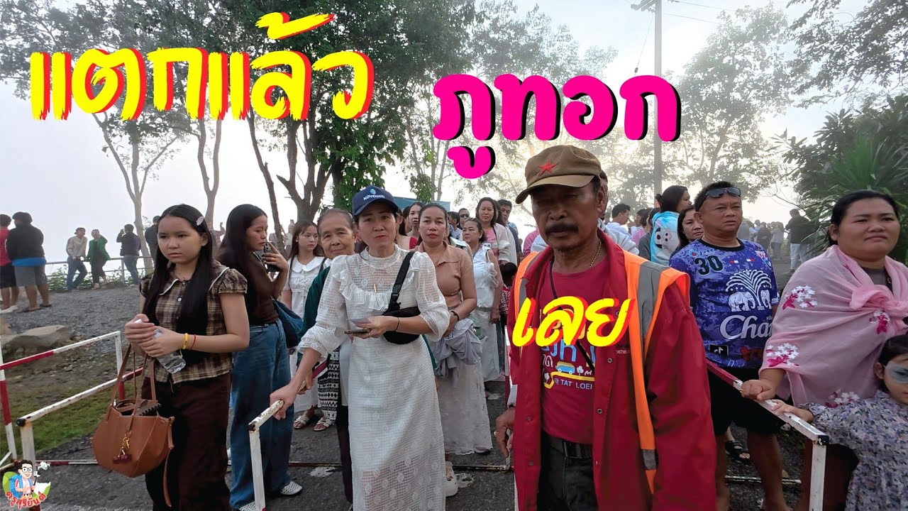 แตกแล้ว ภูทอก #เชียงคาน เที่ยวเลย