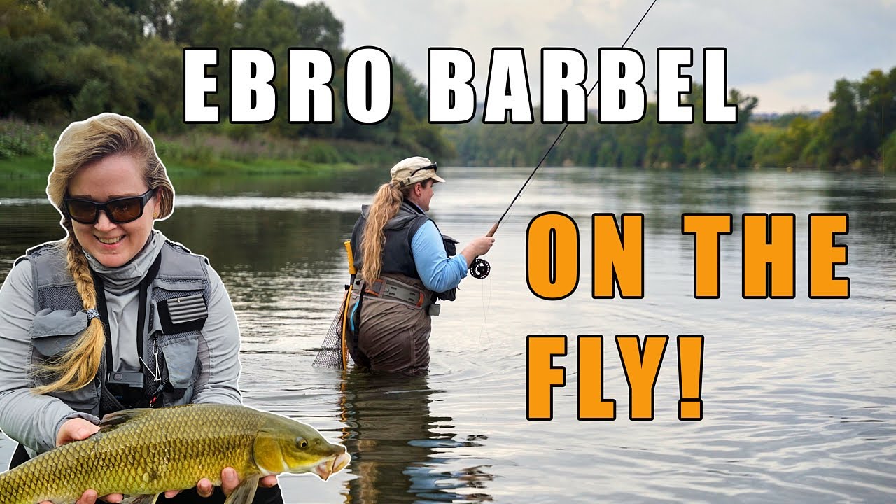 Barbel On The Fly, Mullet On The Float and More! - Fantastic Fishing Session On The River Ebro