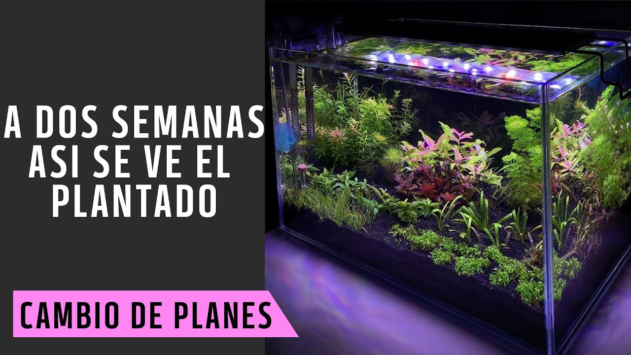 Nano Acuario Hi Tech