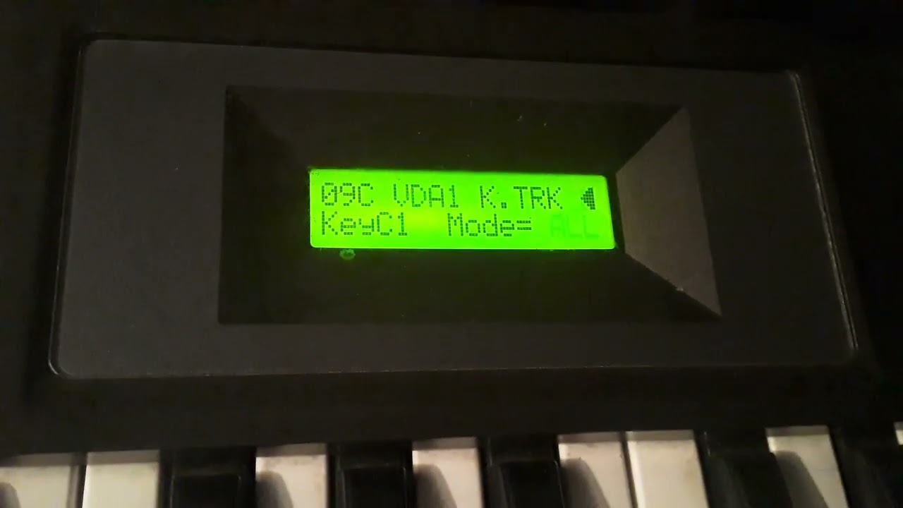 parámetros órgano de Grupo miramar x5d