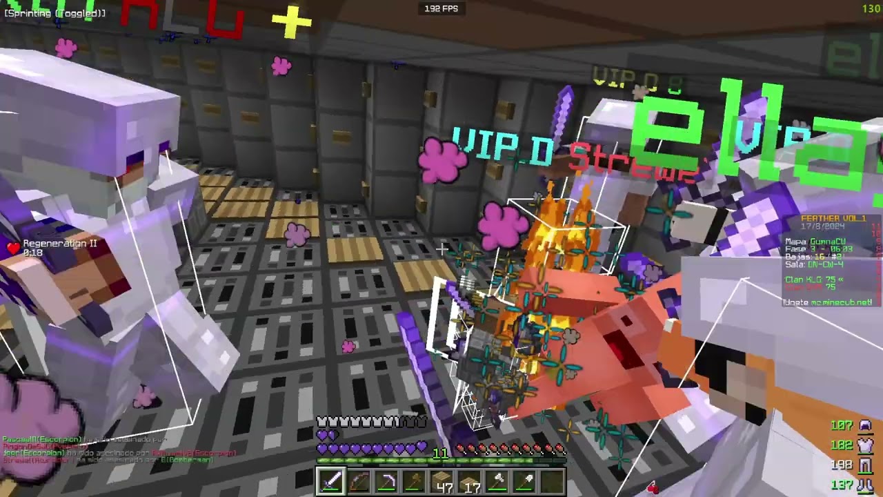 CW MINECUB KLG VS SHMEME