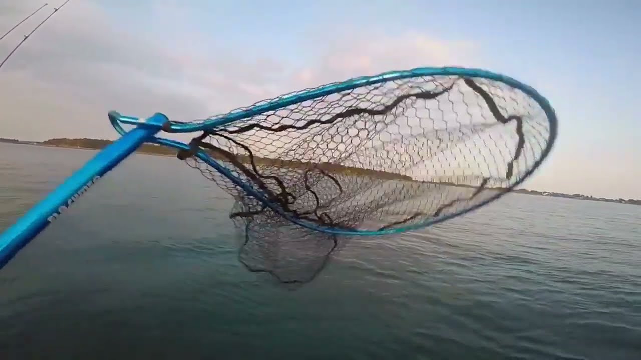 La meilleure &eacute;puisette pour p&ecirc;cher en bateau !