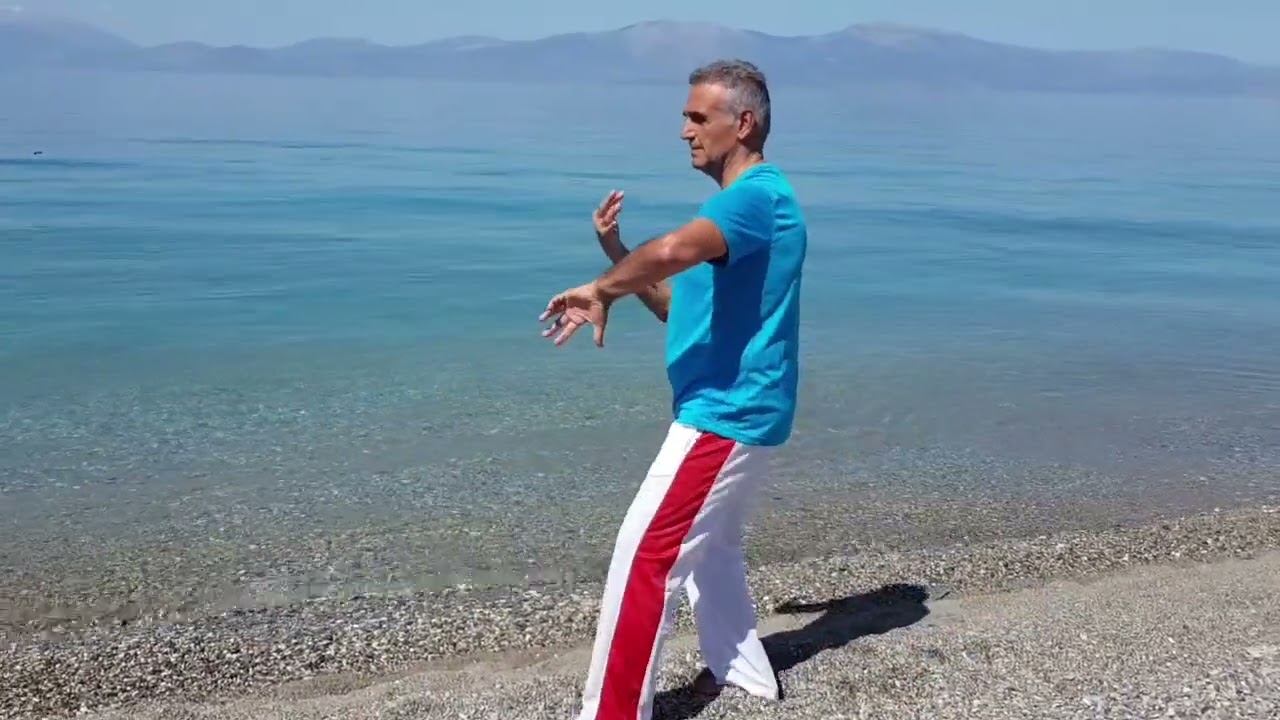 Le Shi Li du Yi Quan pour faire Tui Shou.  The Shi Li for doing Tui Shou