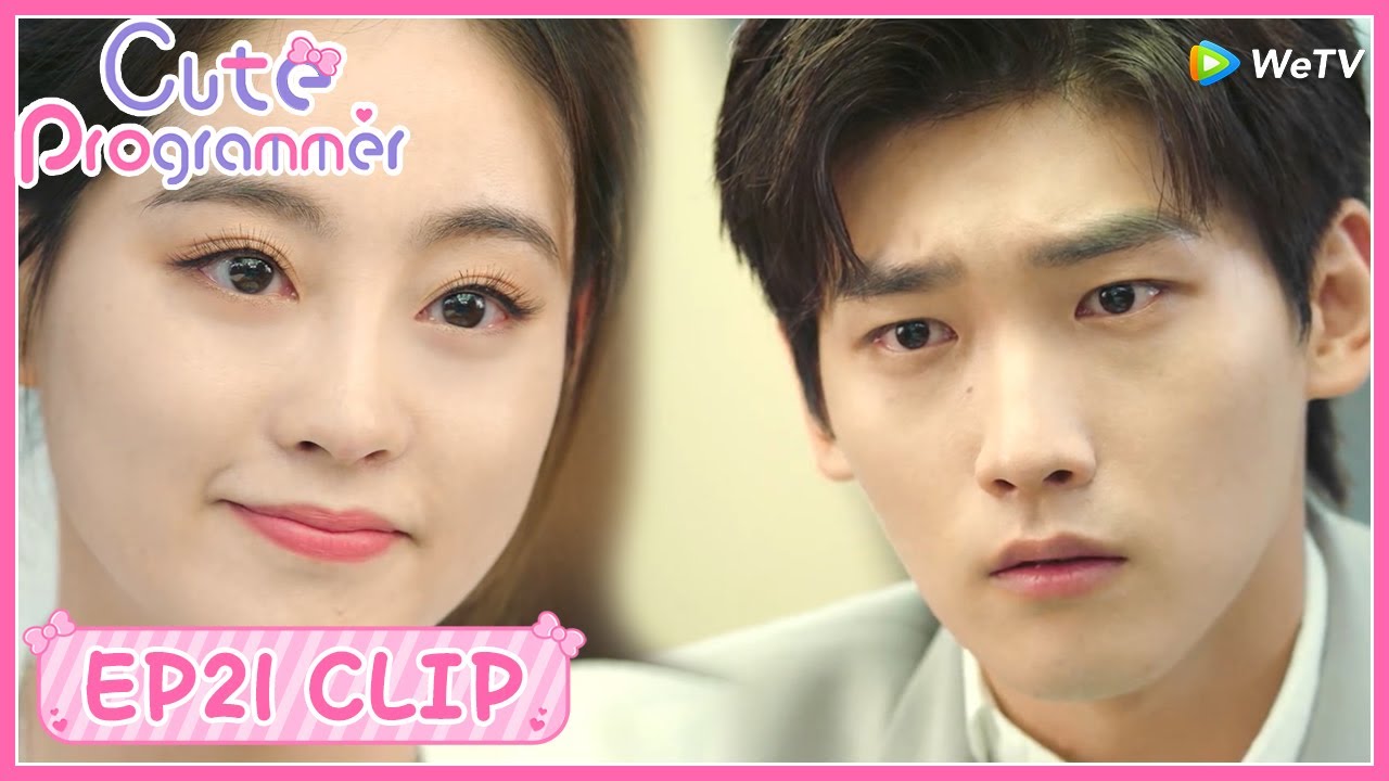 【Cute Programmer】EP21 Clip | She finally made a decision to divorce! | 程序员那么可爱 | ENG SUB