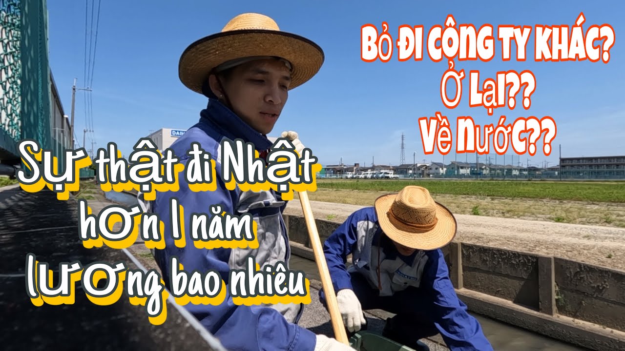Sang Nhật hơn 1 năm lương về tay bao nhi&ecirc;u | XKLD hết 3 năm chọn ở lại hay đi c&ocirc;ng ty kh&aacute;c??