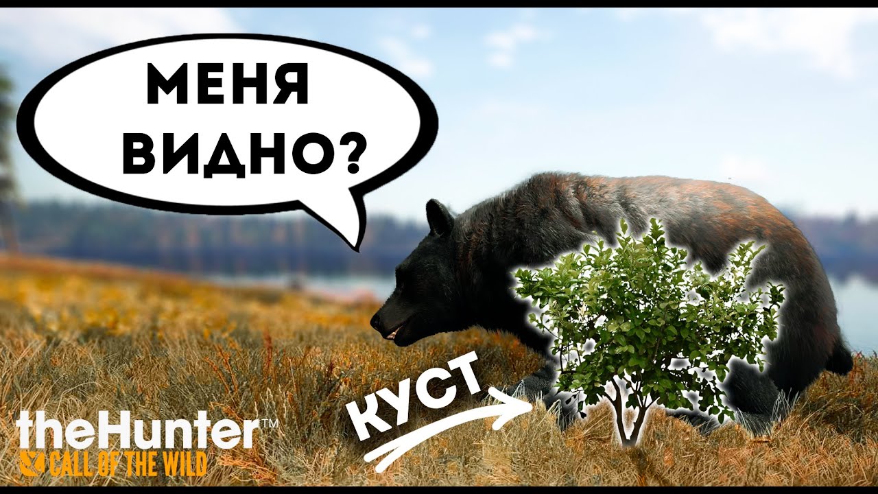 theHunter Call of the Wild - СКРЫТАЯ МЕХНИКА? - Ржака и медведи