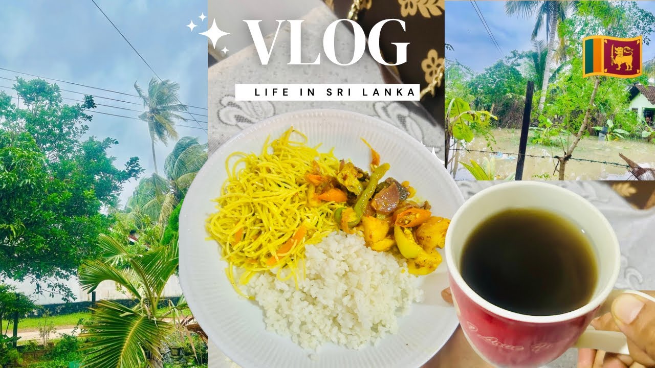 Day 1 Vlogmas-BLOOM AGAIN 🌸 | ආයෙත් නැගිටිමු Sri Lanka 🇱🇰🥲⛈️| a day in my life | Life in Sri Lanka
