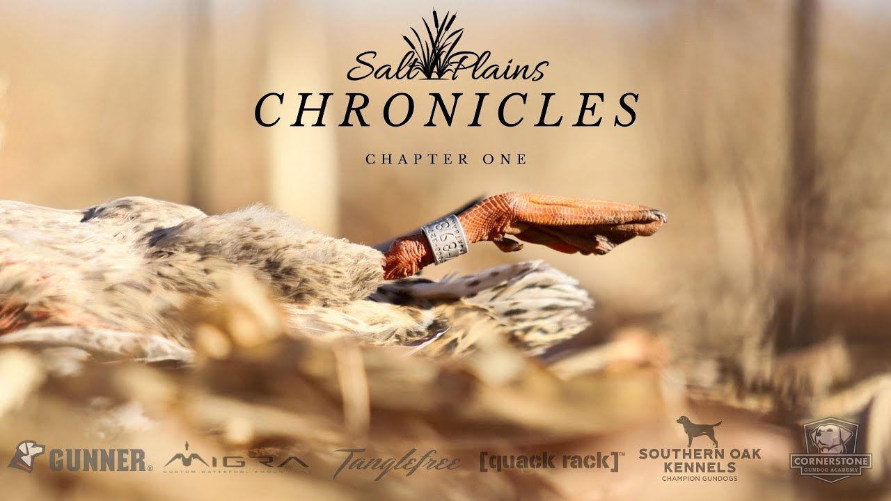 Salt Plains Chronicles: Chapter One