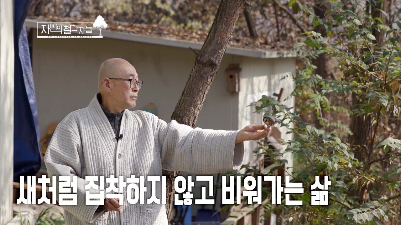 자연이 곧 경전이로다🌳🐦 새가 신선이고 도를 함께 닦는 친구인 도연 스님의 삶 | 내츄럴 휴먼 다큐 자연의 철학자들 3부 새처럼 살고 싶어라 211217 KBS 방송
