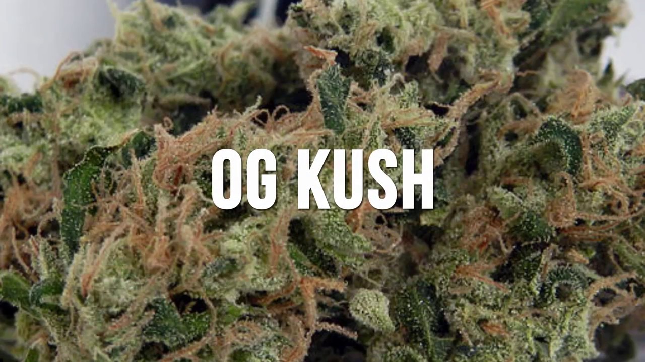 The Top 5 Cannabis Strains That Will Help With Sleeping and Insomnia