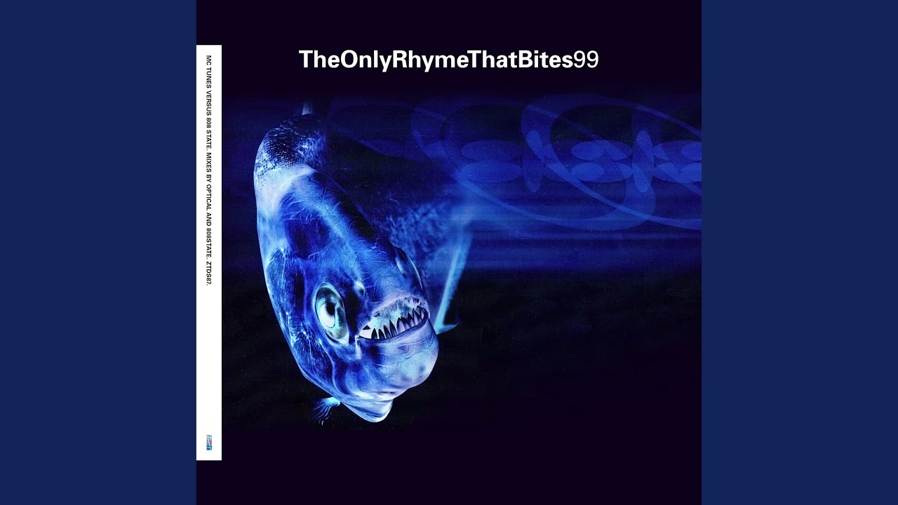The Only Rhyme That Bites (808’s Instrumental)