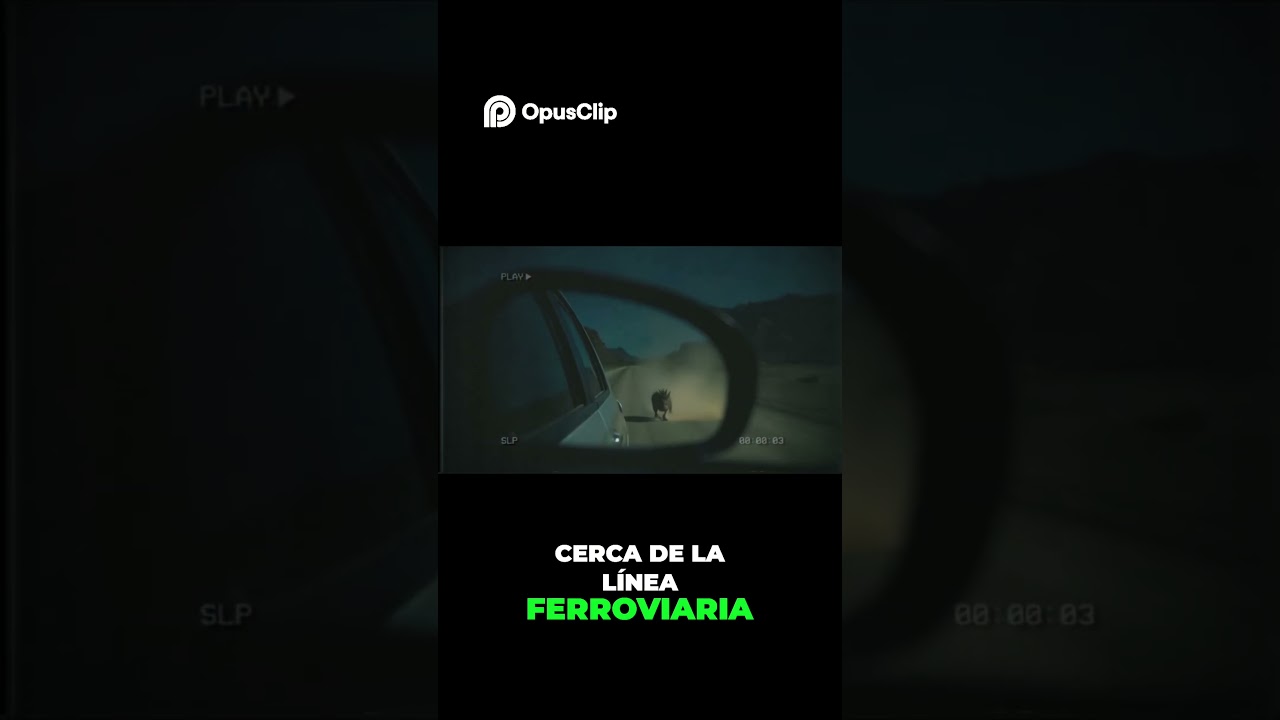 &iexcl;Encuentro Extra&ntilde;o! Criatura Misteriosa en Carretera Chilena #terrorymisterio #relatosbizarros