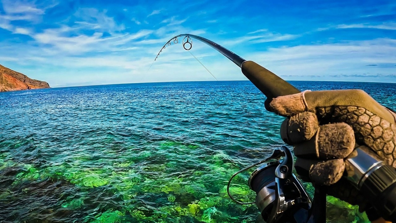 Pesco a SHORE JIGGING in acqua BASSA!