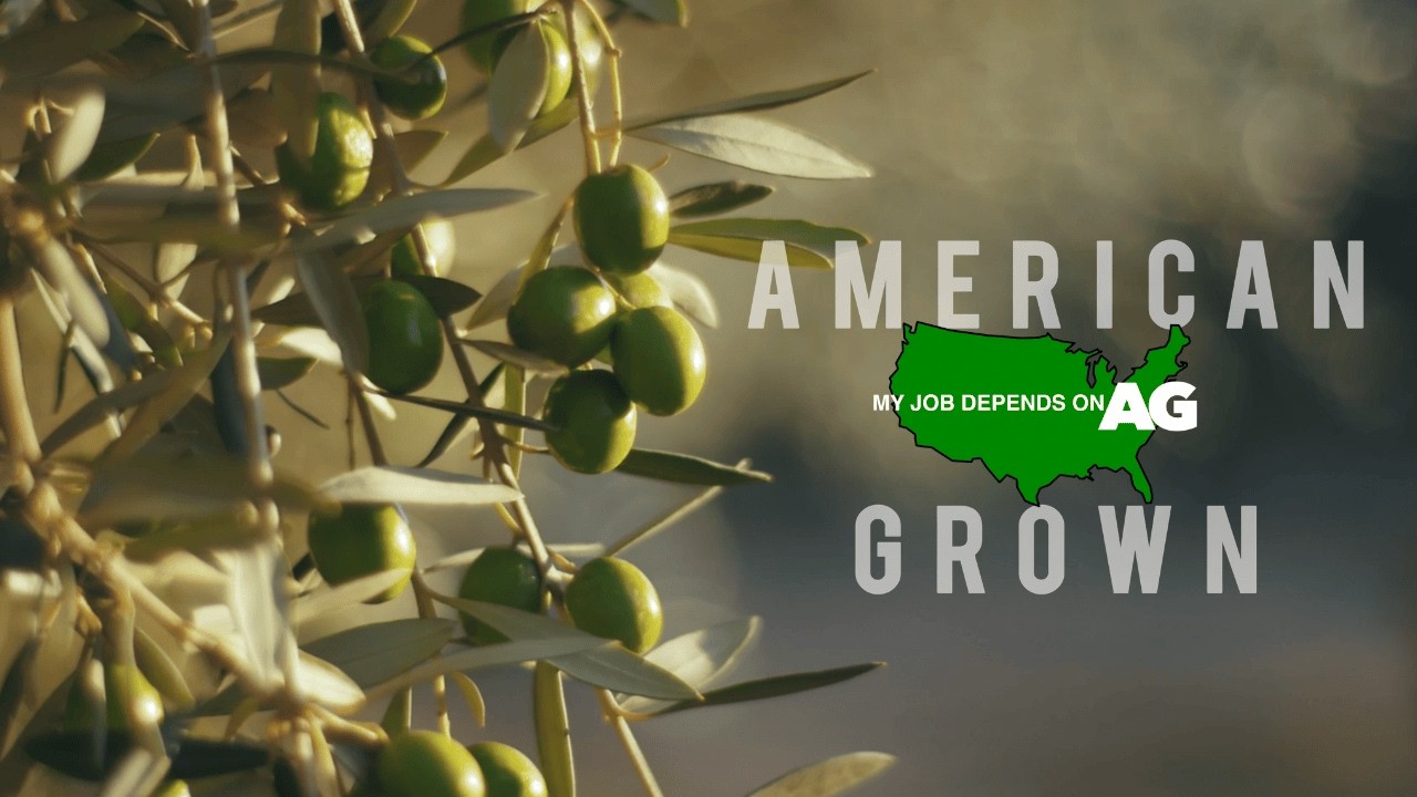 American Grown: My Job Depends on Ag | Unfiltered: The Truth in Oil [WATCH IN 4K]