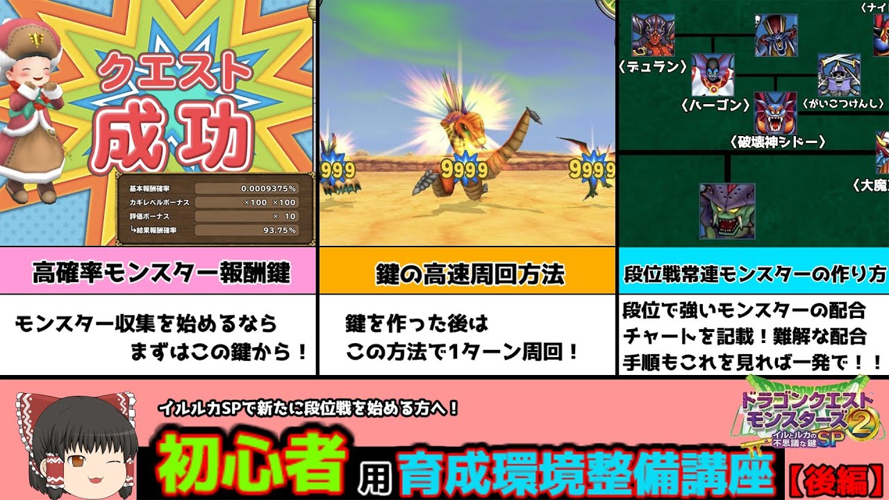 【イルルカSP】新規勢・初心者向け/初めて育成するならこれ１本！段位戦に向けての育成環境整備解説動画　～後編～【ゆっくり実況】